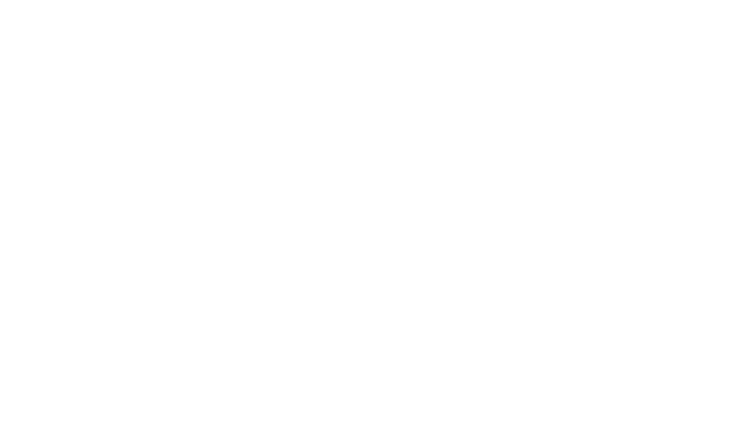 Ring Wrapper - The World's Best Ring Protector